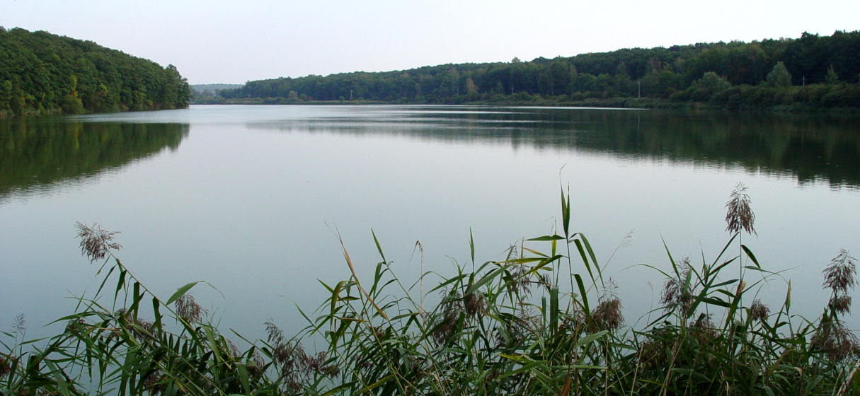 Penzion Záhornice - okolní příroda - rybník